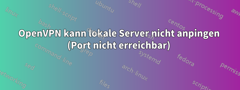 OpenVPN kann lokale Server nicht anpingen (Port nicht erreichbar)