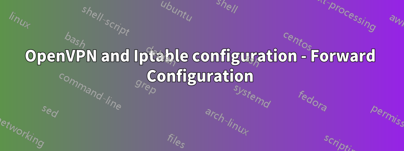 OpenVPN and Iptable configuration - Forward Configuration