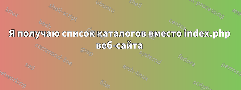 Я получаю список каталогов вместо index.php веб-сайта