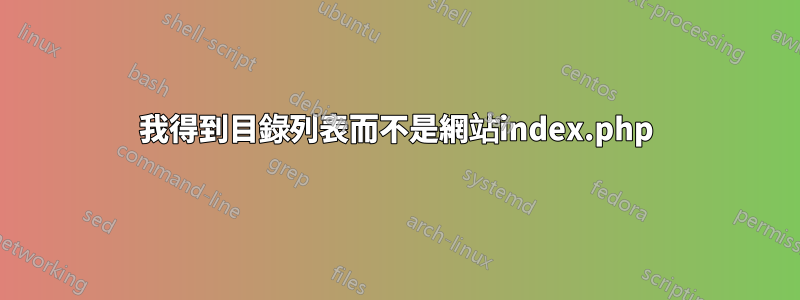 我得到目錄列表而不是網站index.php