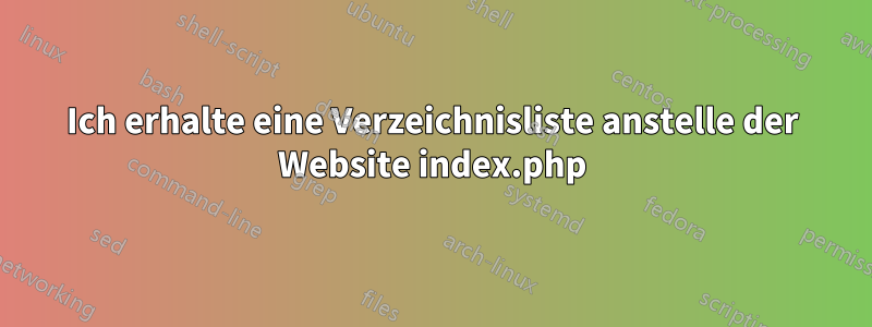 Ich erhalte eine Verzeichnisliste anstelle der Website index.php