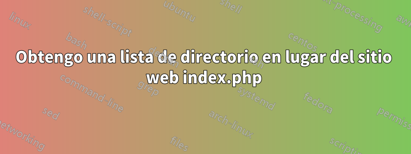 Obtengo una lista de directorio en lugar del sitio web index.php