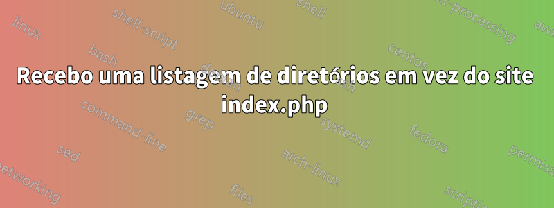 Recebo uma listagem de diretórios em vez do site index.php