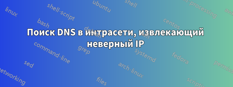 Поиск DNS в интрасети, извлекающий неверный IP