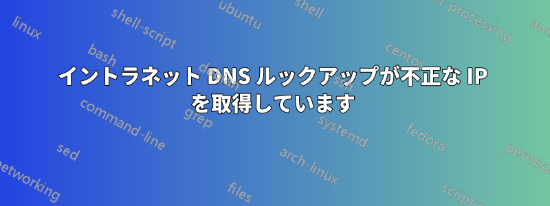 イントラネット DNS ルックアップが不正な IP を取得しています