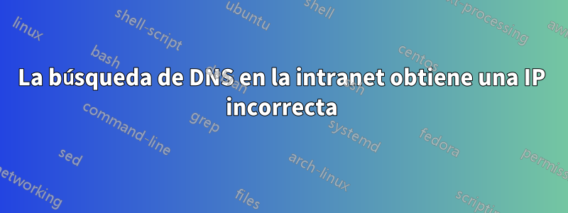 La búsqueda de DNS en la intranet obtiene una IP incorrecta