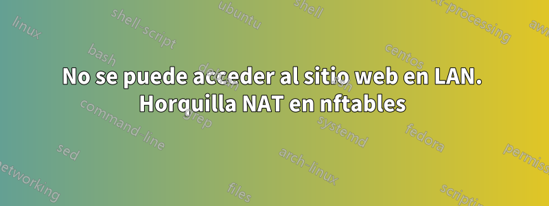 No se puede acceder al sitio web en LAN. Horquilla NAT en nftables