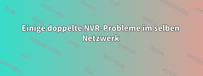 Einige doppelte NVR-Probleme im selben Netzwerk