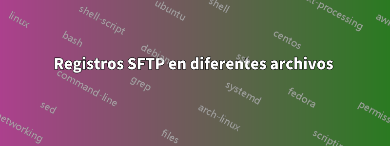 Registros SFTP en diferentes archivos