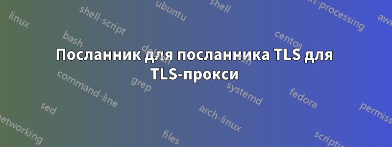 Посланник для посланника TLS для TLS-прокси