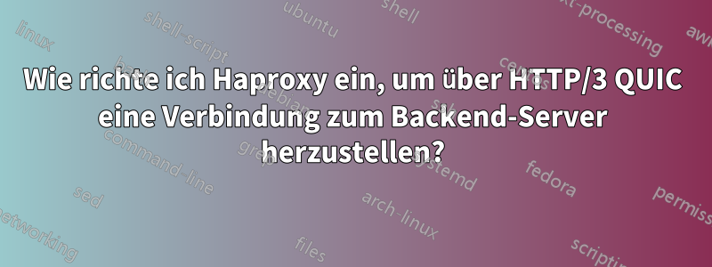 Wie richte ich Haproxy ein, um über HTTP/3 QUIC eine Verbindung zum Backend-Server herzustellen?