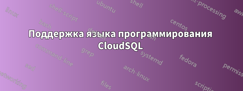 Поддержка языка программирования CloudSQL