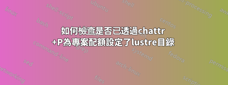 如何檢查是否已透過chattr +P為專案配額設定了lustre目錄