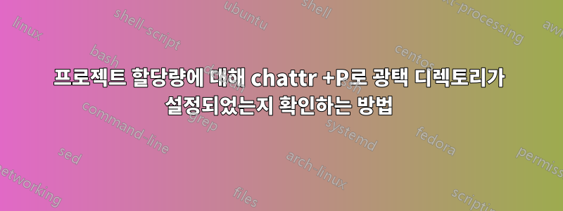 프로젝트 할당량에 대해 chattr +P로 광택 디렉토리가 설정되었는지 확인하는 방법