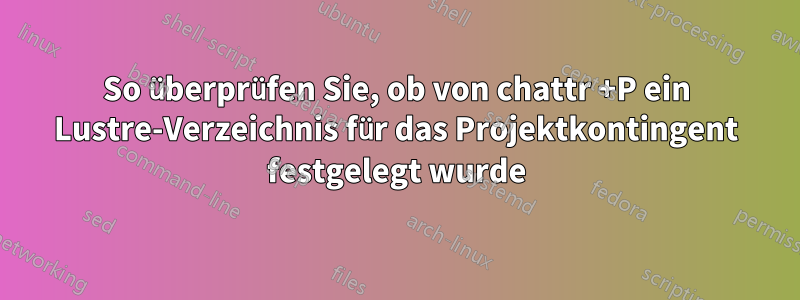 So überprüfen Sie, ob von chattr +P ein Lustre-Verzeichnis für das Projektkontingent festgelegt wurde