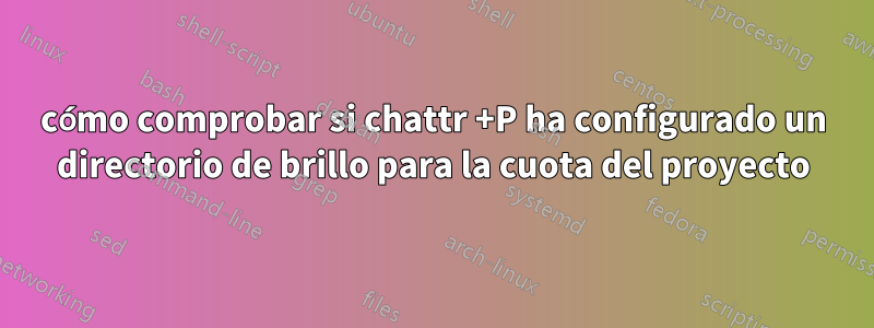 cómo comprobar si chattr +P ha configurado un directorio de brillo para la cuota del proyecto