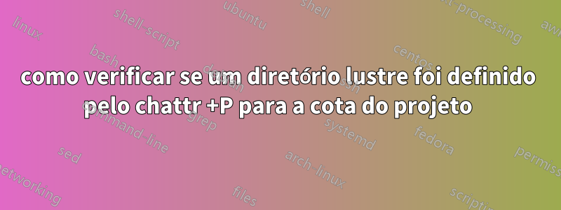 como verificar se um diretório lustre foi definido pelo chattr +P para a cota do projeto