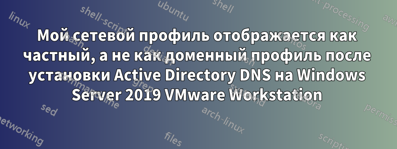 Мой сетевой профиль отображается как частный, а не как доменный профиль после установки Active Directory DNS на Windows Server 2019 VMware Workstation