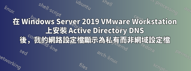 在 Windows Server 2019 VMware Workstation 上安裝 Active Directory DNS 後，我的網路設定檔顯示為私有而非網域設定檔