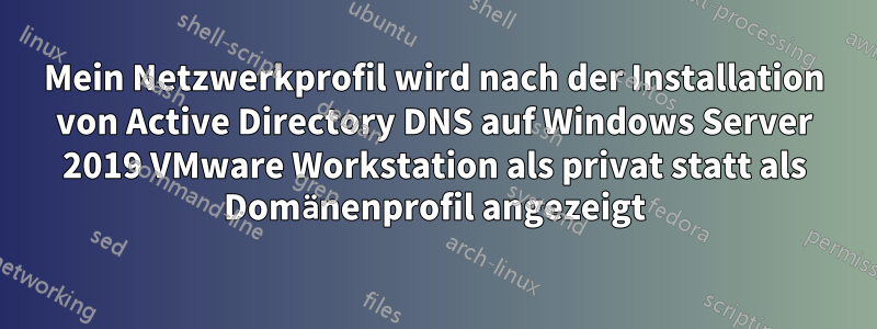 Mein Netzwerkprofil wird nach der Installation von Active Directory DNS auf Windows Server 2019 VMware Workstation als privat statt als Domänenprofil angezeigt