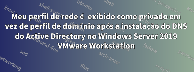 Meu perfil de rede é exibido como privado em vez de perfil de domínio após a instalação do DNS do Active Directory no Windows Server 2019 VMware Workstation