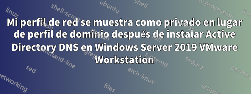 Mi perfil de red se muestra como privado en lugar de perfil de dominio después de instalar Active Directory DNS en Windows Server 2019 VMware Workstation