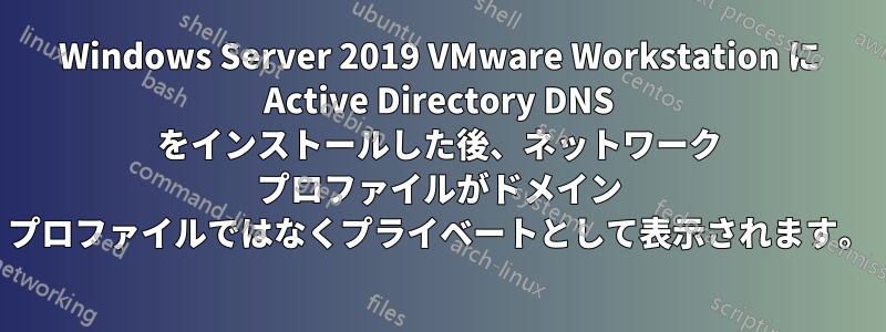 Windows Server 2019 VMware Workstation に Active Directory DNS をインストールした後、ネットワーク プロファイルがドメイン プロファイルではなくプライベートとして表示されます。