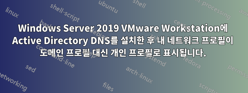 Windows Server 2019 VMware Workstation에 Active Directory DNS를 설치한 후 내 네트워크 프로필이 도메인 프로필 대신 개인 프로필로 표시됩니다.