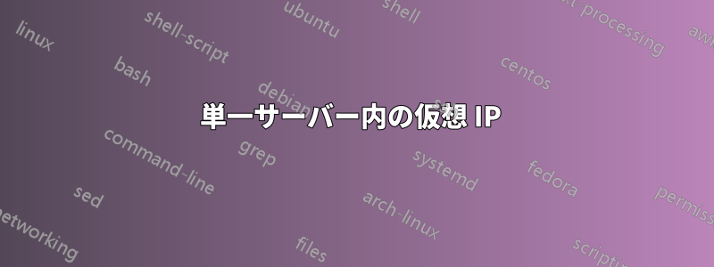 単一サーバー内の仮想 IP 