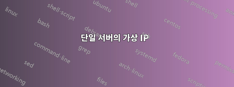 단일 서버의 가상 IP 