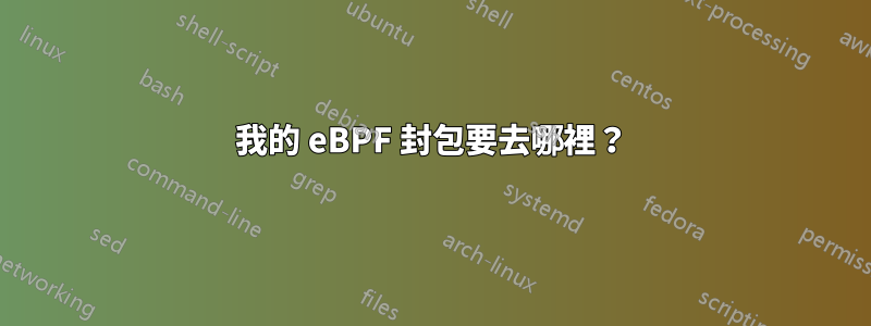 我的 eBPF 封包要去哪裡？