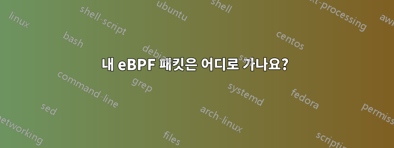 내 eBPF 패킷은 어디로 가나요?