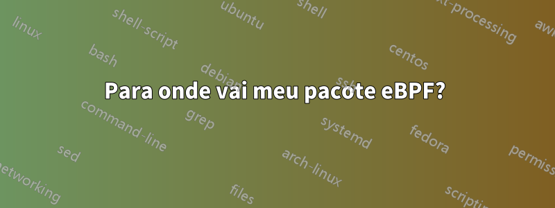 Para onde vai meu pacote eBPF?