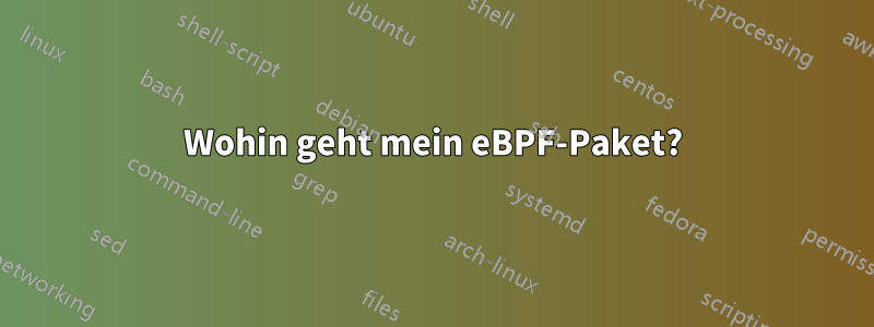 Wohin geht mein eBPF-Paket?