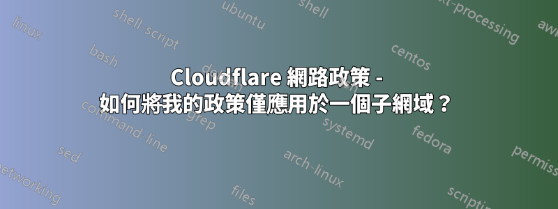 Cloudflare 網路政策 - 如何將我的政策僅應用於一個子網域？