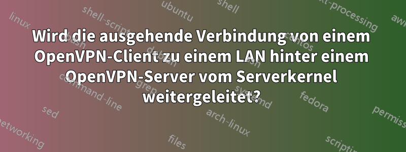 Wird die ausgehende Verbindung von einem OpenVPN-Client zu einem LAN hinter einem OpenVPN-Server vom Serverkernel weitergeleitet?