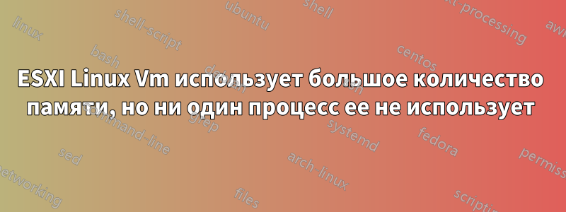 ESXI Linux Vm использует большое количество памяти, но ни один процесс ее не использует