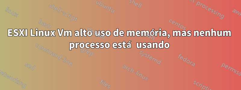 ESXI Linux Vm alto uso de memória, mas nenhum processo está usando