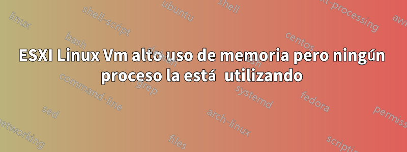 ESXI Linux Vm alto uso de memoria pero ningún proceso la está utilizando