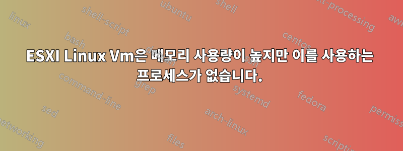 ESXI Linux Vm은 메모리 사용량이 높지만 이를 사용하는 프로세스가 없습니다.