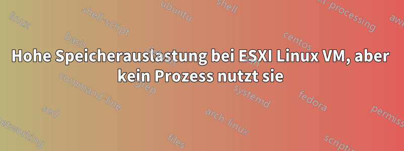 Hohe Speicherauslastung bei ESXI Linux VM, aber kein Prozess nutzt sie