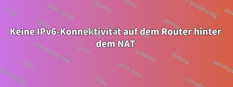 Keine IPv6-Konnektivität auf dem Router hinter dem NAT