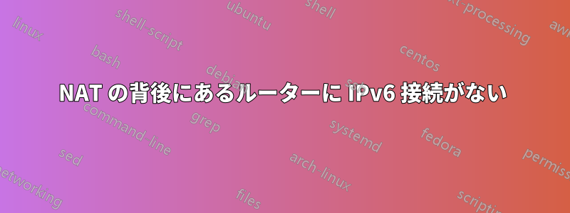 NAT の背後にあるルーターに IPv6 接続がない