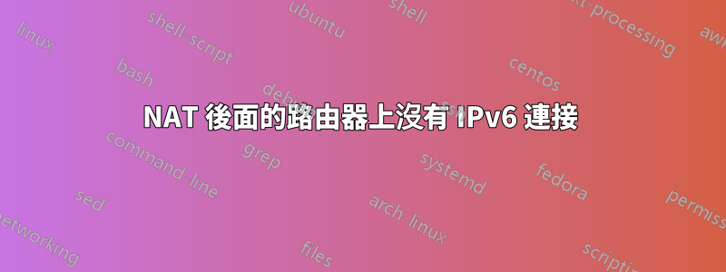 NAT 後面的路由器上沒有 IPv6 連接