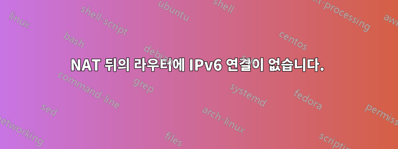 NAT 뒤의 라우터에 IPv6 연결이 없습니다.