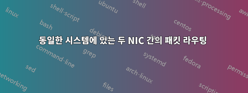 동일한 시스템에 있는 두 NIC 간의 패킷 라우팅