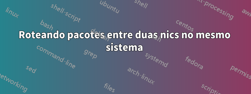 Roteando pacotes entre duas nics no mesmo sistema