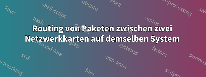 Routing von Paketen zwischen zwei Netzwerkkarten auf demselben System