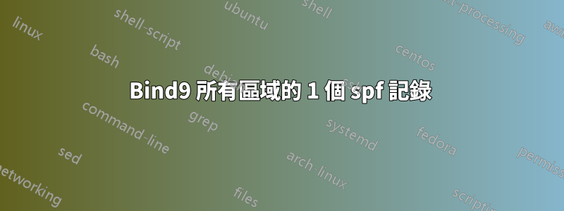 Bind9 所有區域的 1 個 spf 記錄