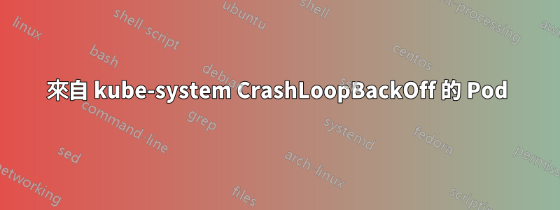 來自 kube-system CrashLoopBackOff 的 Pod